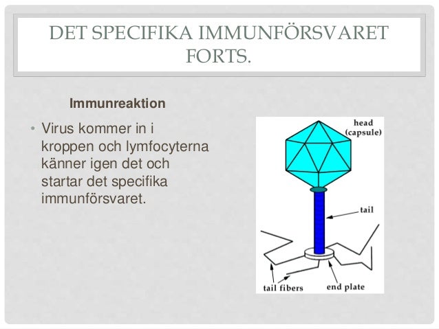ospecifika immunförsvaret 1177 ospecifika immunförsvaret 1177